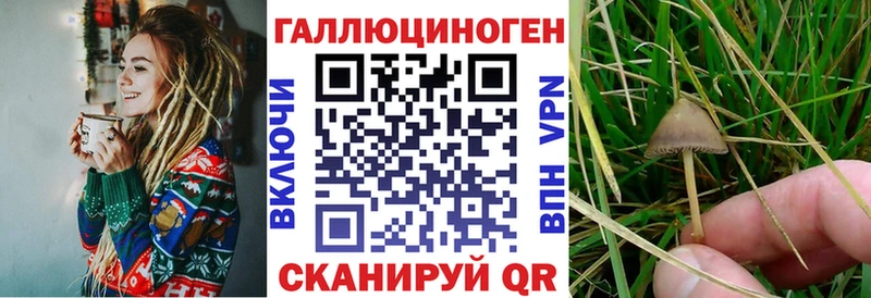 Галлюциногенные грибы прущие грибы  Биробиджан 